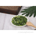 Mất nước Gree và White Onion Nhẫn Thành phần thực phẩm